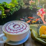 Exploring the Underwater Cafe Experience in Nelson Bay, Australia